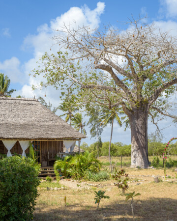Baobab Dream House | Watamu